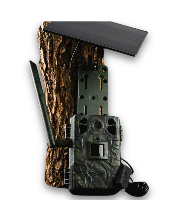 Zestaw Fotopułapka GSM Kamera Leśna TOPHUNT H6 Green