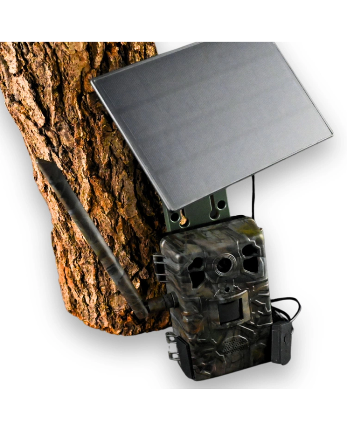 Zestaw Fotopułapka GSM Kamera Leśna TOPHUNT H6 Dark Green