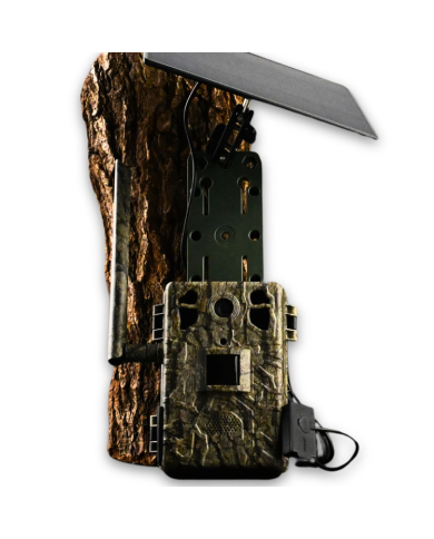 Fotopułapka gsm Kamera Leśna TOPHUNT H6 Tree grain