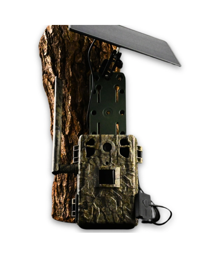 Fotopułapka gsm Kamera Leśna TOPHUNT H6 Tree grain