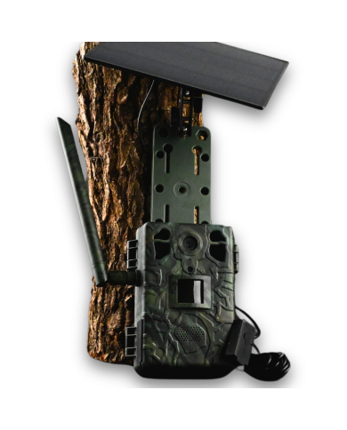 Fotopułapka GSM Kamera Leśna TOPHUNT H6 Green