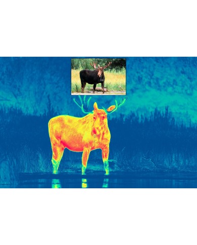 Luneta multispektralna Pulsar Thermion DUO DXP50