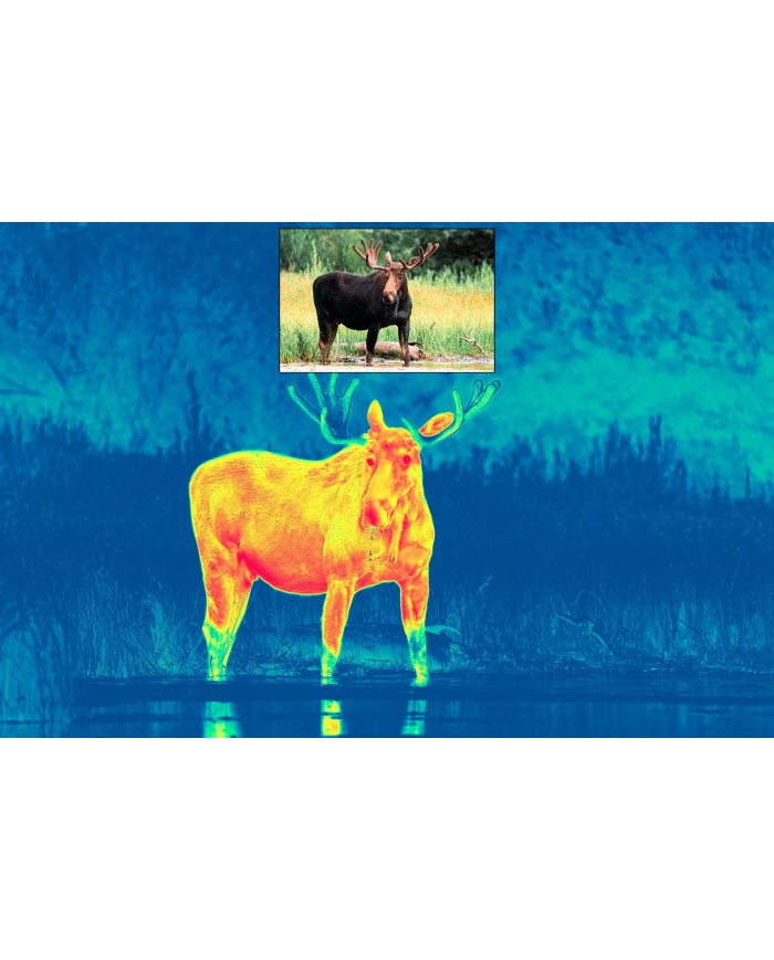 Luneta multispektralna Pulsar Thermion DUO DXP50