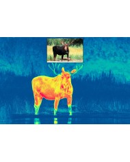 Luneta multispektralna Pulsar Thermion DUO DXP50